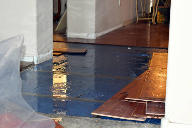 Professional Basement Flood Cleanup technician working in Spanish Fork, UT